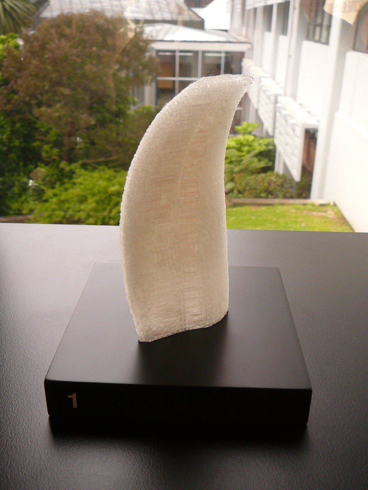 Bronwyn Holloway-Smith sperm whale tooth.jpg