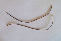 Two pieces of wire, to use as lead wires.