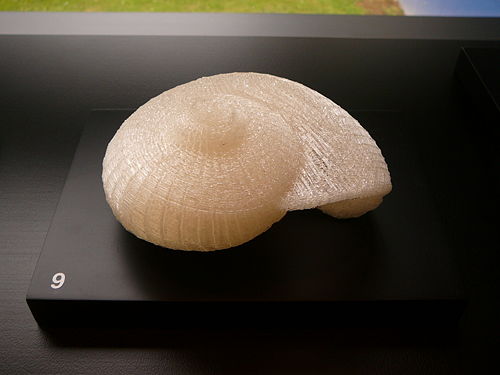 alt = Giant_Snail_Shell by Bronwyn_Holloway-Smith