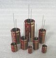 ElectrolyticCapacitor-electrolytic-capacitor.jpg